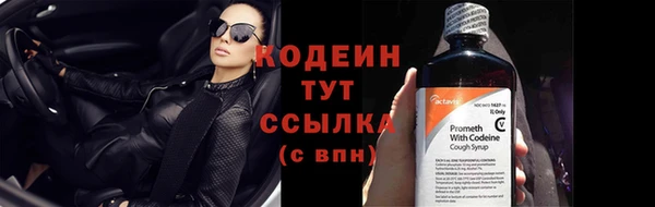 бошки Пересвет
