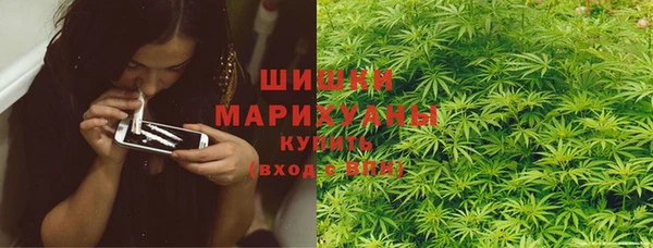 apvp Алзамай